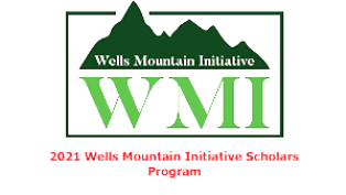 The WMI Undergraduate Scholarships is fully funded 2021
