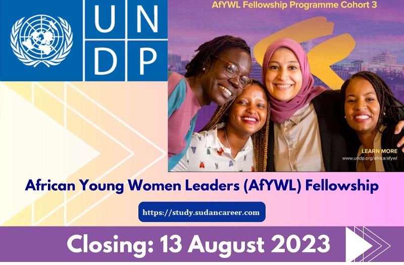 African Young Women Leaders (AfYWL) Fellowship Programme