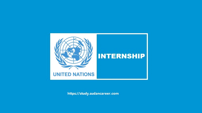 UN Internship Programme